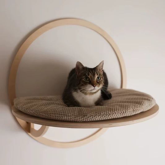 Halo Paw Cat Bed