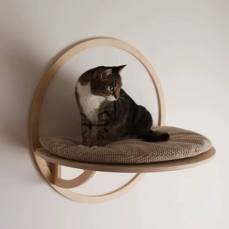 Halo Paw Cat Bed